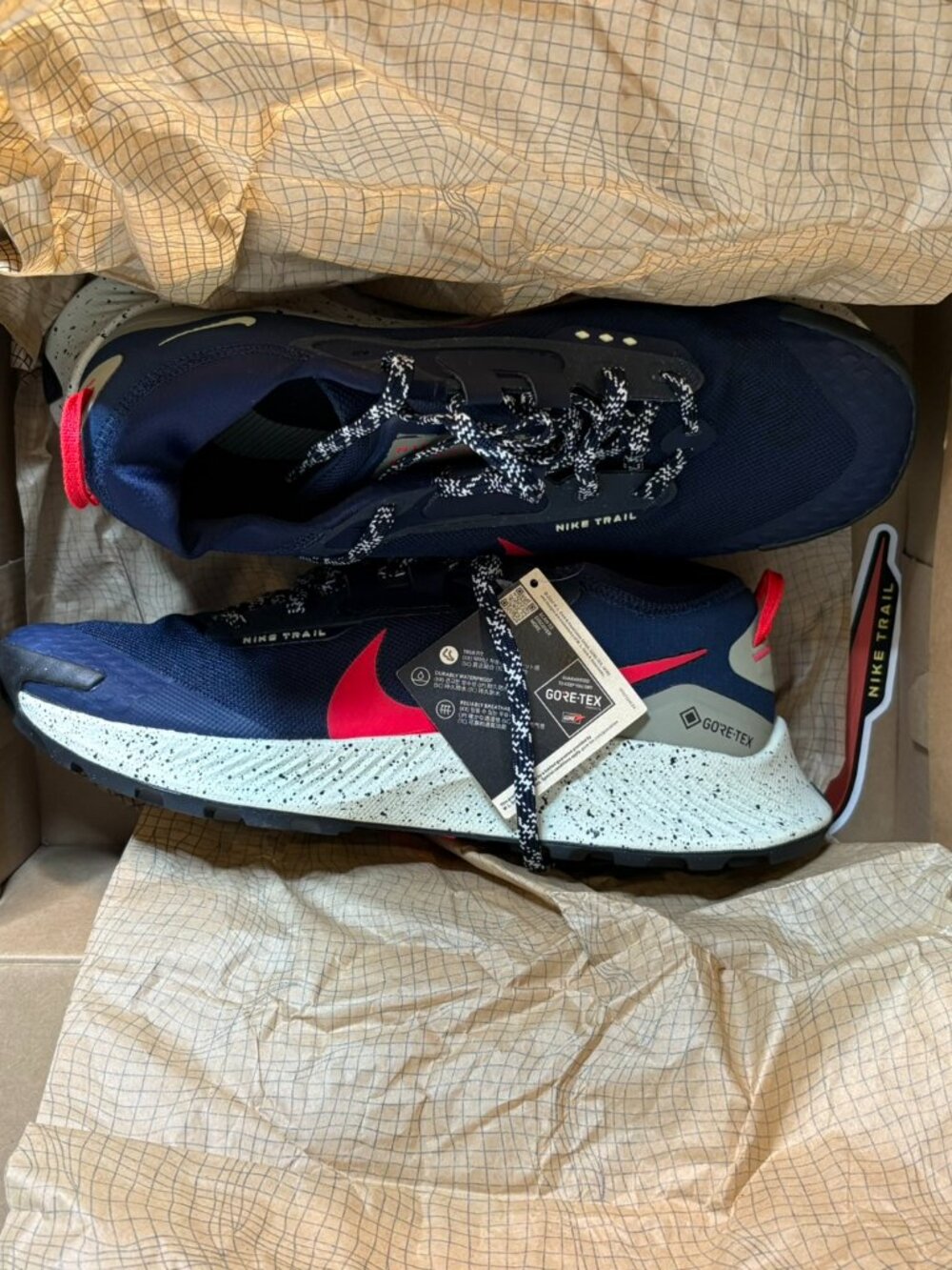 Nike Pegasus Trail 3 Gore-Tex Obsidian Siren Red 2022 - DC8793-401 Shoes